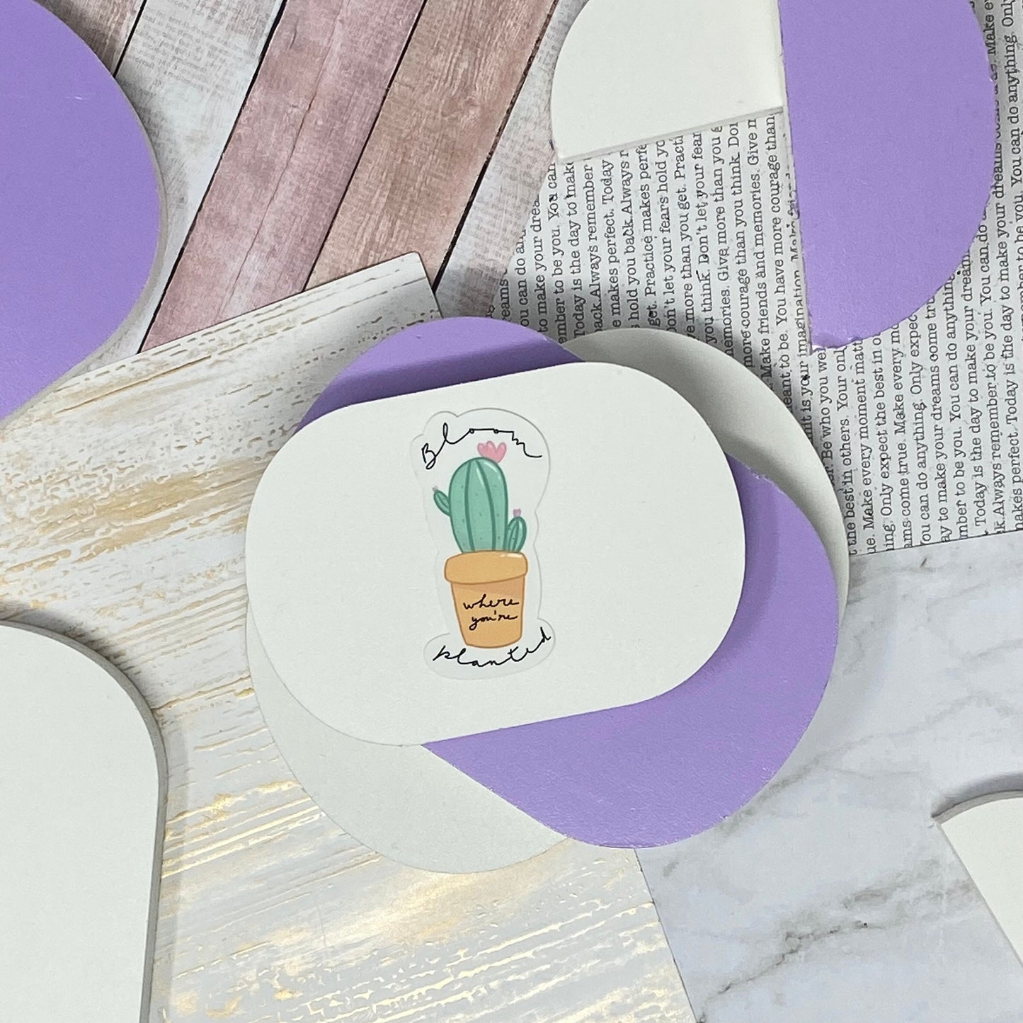 Stickers - Cactus bloom where you're planted