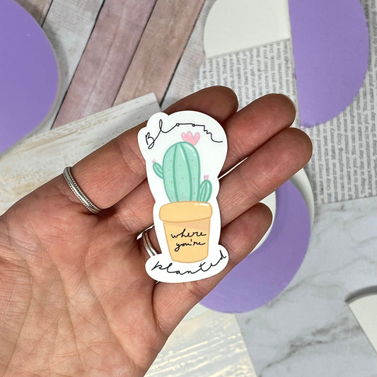 Stickers - Cactus bloom where you're planted